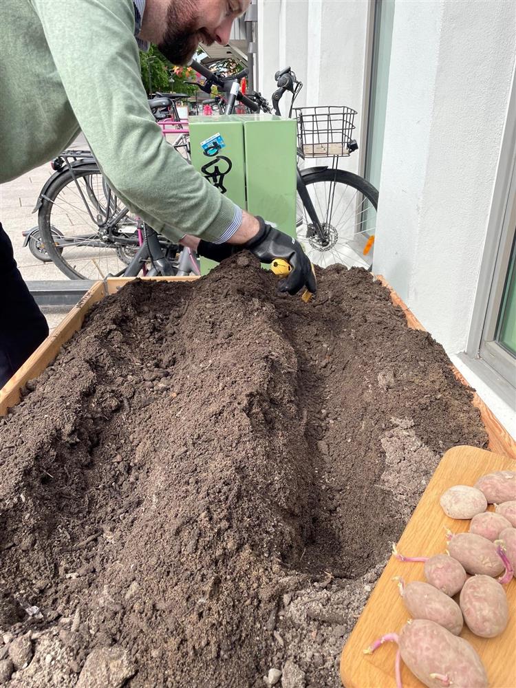 Bilde av graving av renner - Klikk for stort bilde