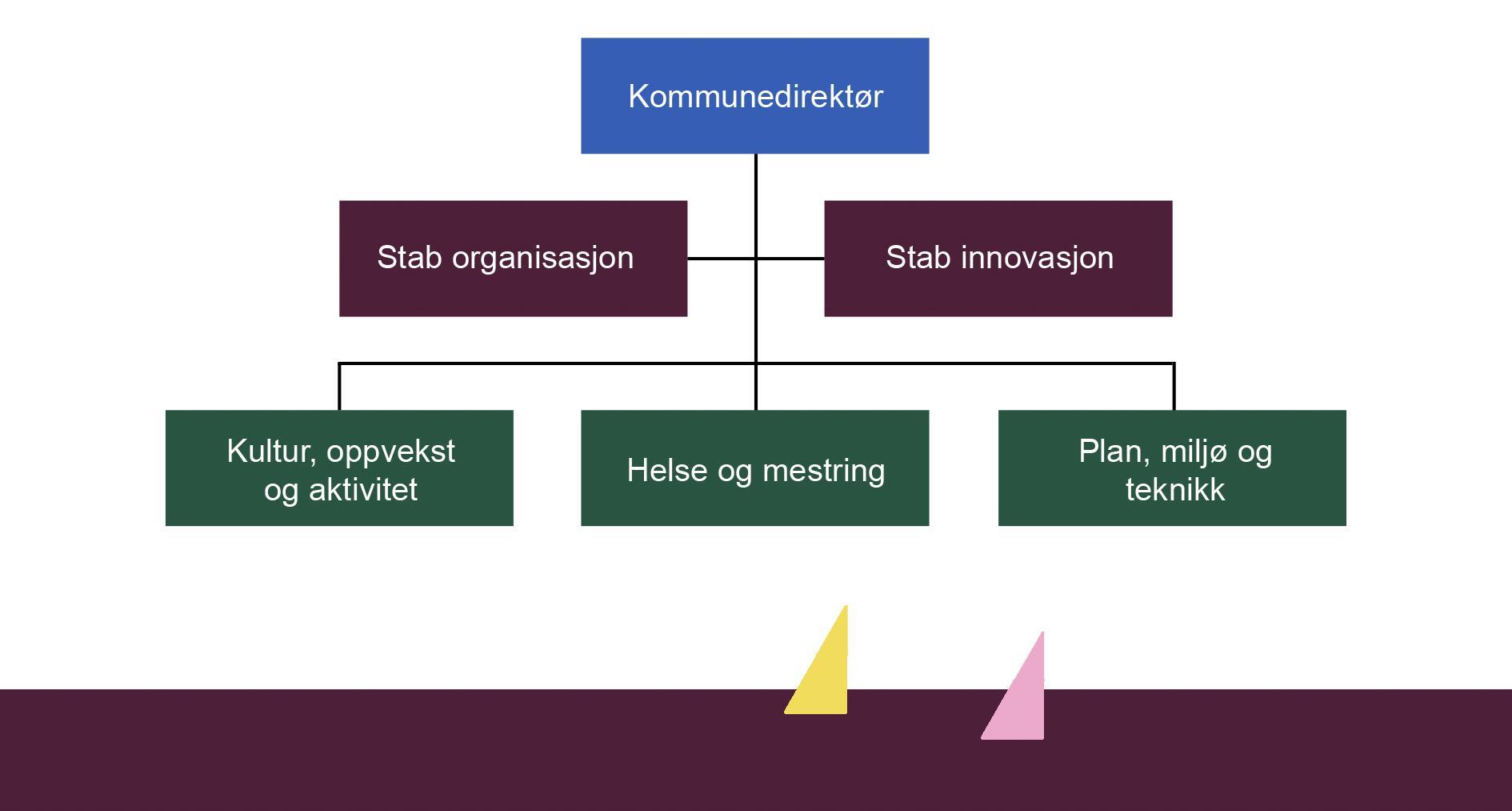 Organisasjonskart overordnet nivå